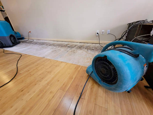 Professional Water Damage Repair technician working in Conifer, CO